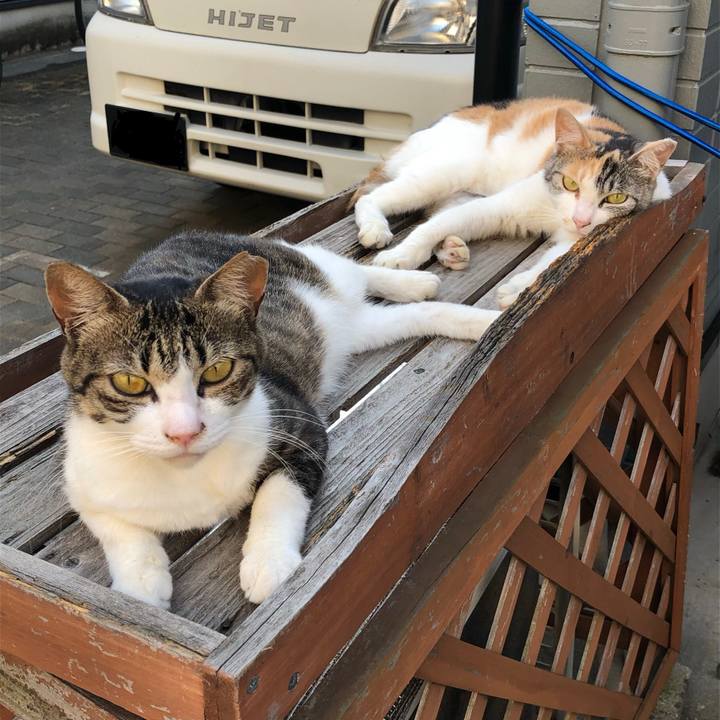 868910b1 5c58 455d 97c3 839d220a4dd4 1566718117128