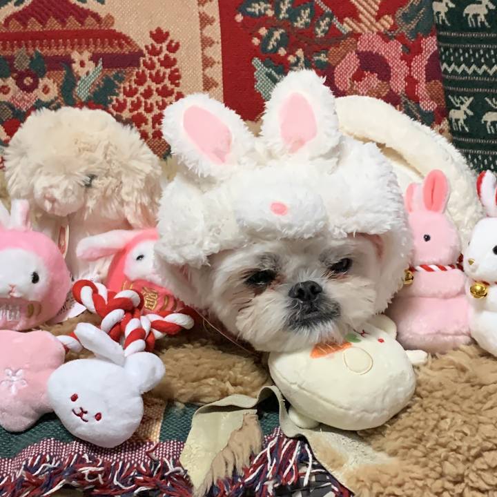 86892470 684e 4e13 ac16 eb129251db24 1673061202617