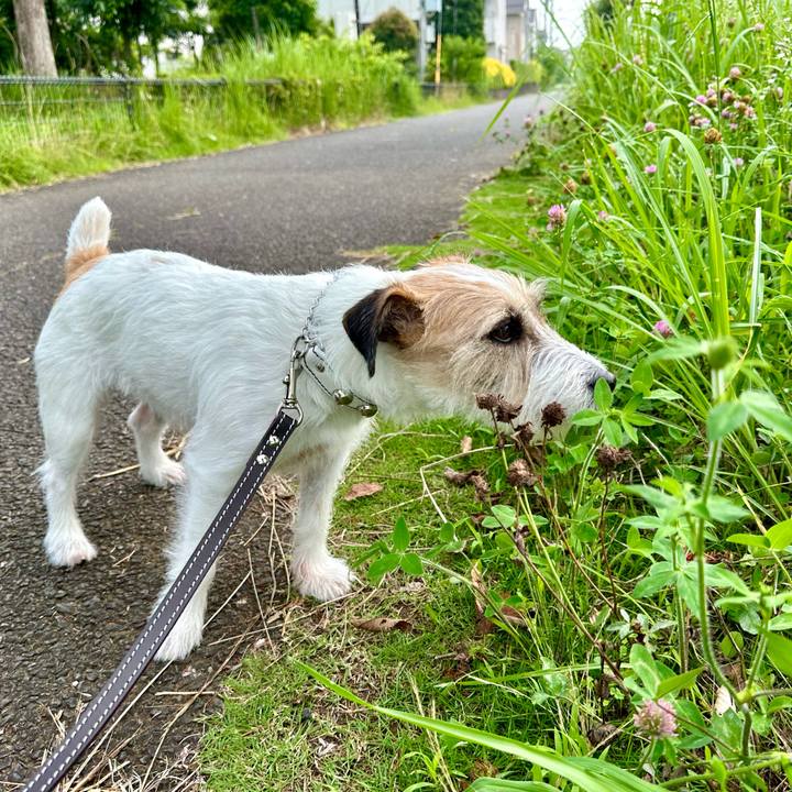 8689282b f7a7 4d5d b0a9 9b529ccaec7c 1720065217145