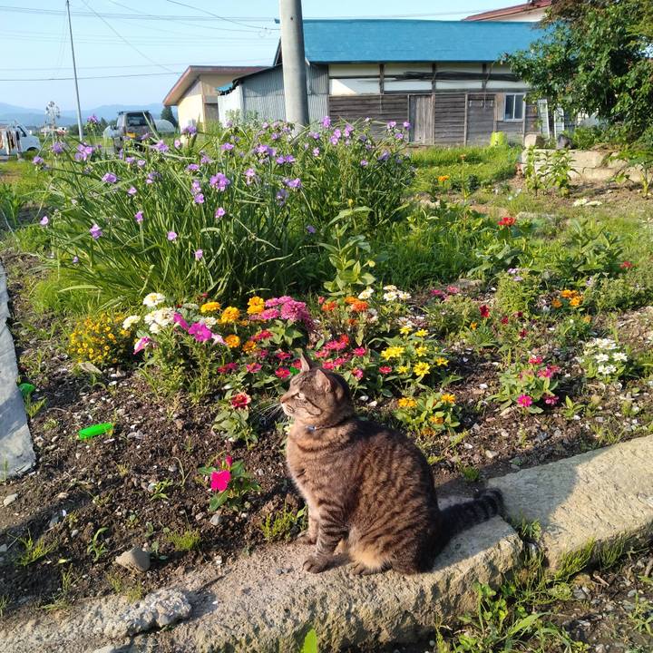 86893df3 2904 4ab5 ab84 be6d32cd6f18 1687042006485