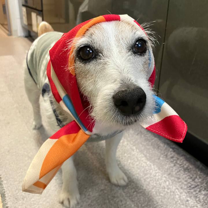 86897d94 f13b 41b2 bd5b 96ee1b1564c9 1746926817448