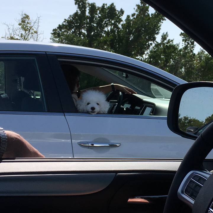 868989c2 2ae5 4cd7 a601 9f23e863c4d5 1546057434111