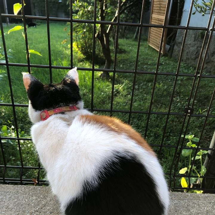 86899afe f684 4496 aefb 4533c796e1b6 1634510996736