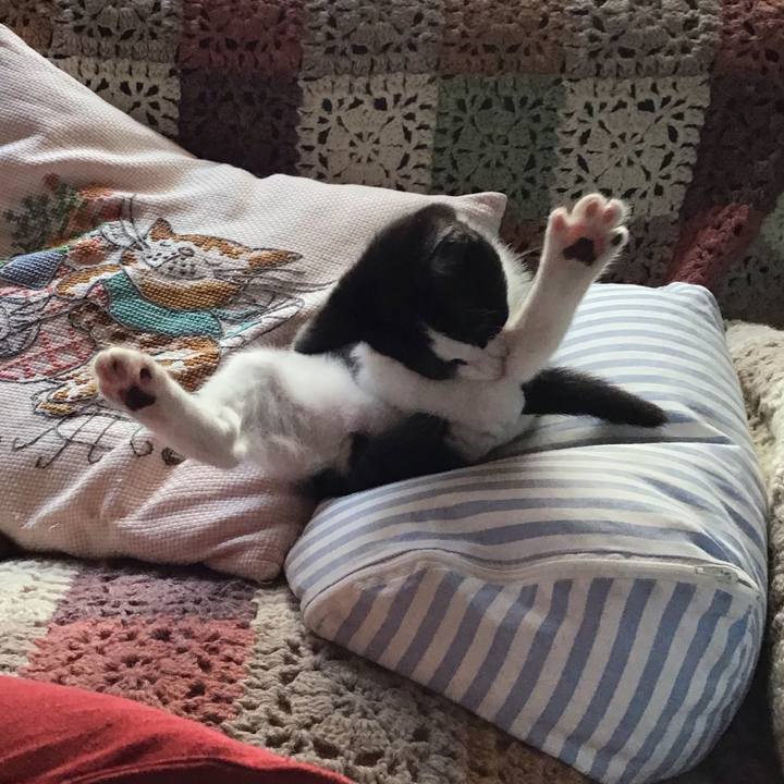 8689b9cc 5743 4543 b8c0 da44953397aa 1626131427360