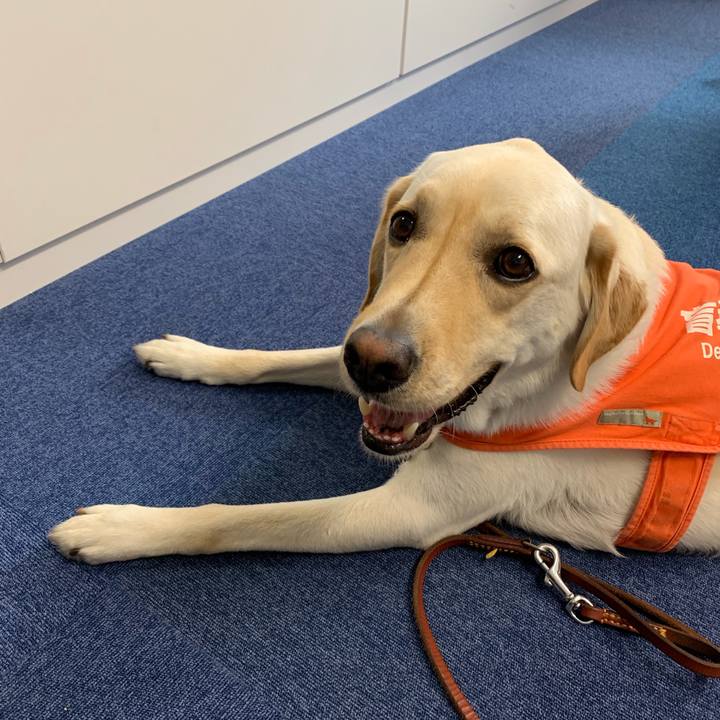 8689ec9c 311d 44bd 9328 ab7579f8cc32 1562913593636