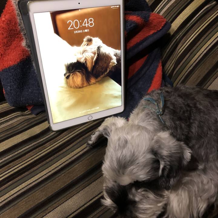 8689ff46 77b0 454d aa22 d070a1d368a9 1582976987973