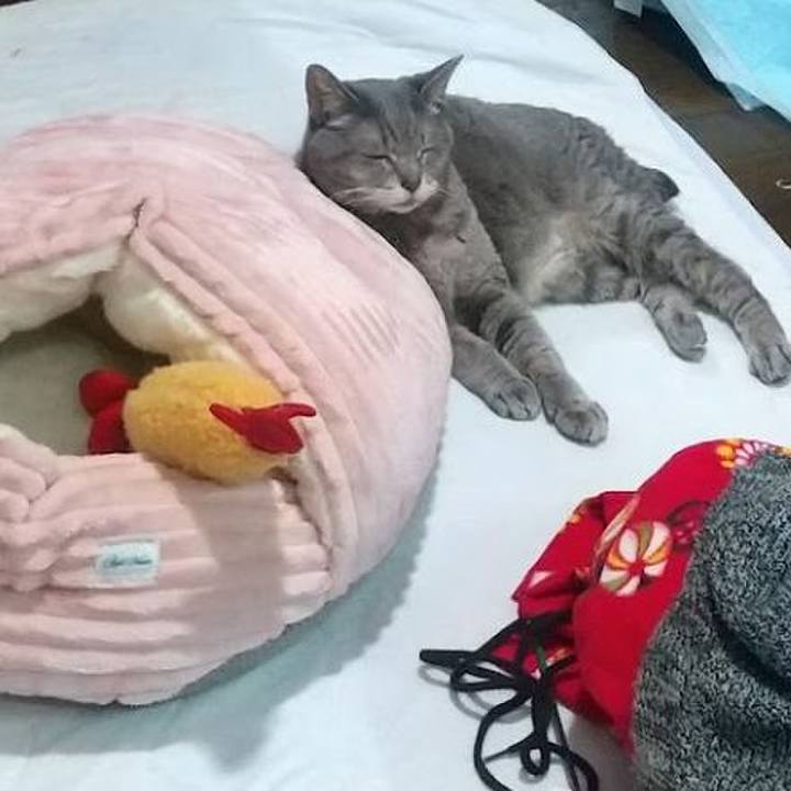 868a0c97 d6f6 4b5c 92f5 ee946785dcbf 1705059706654