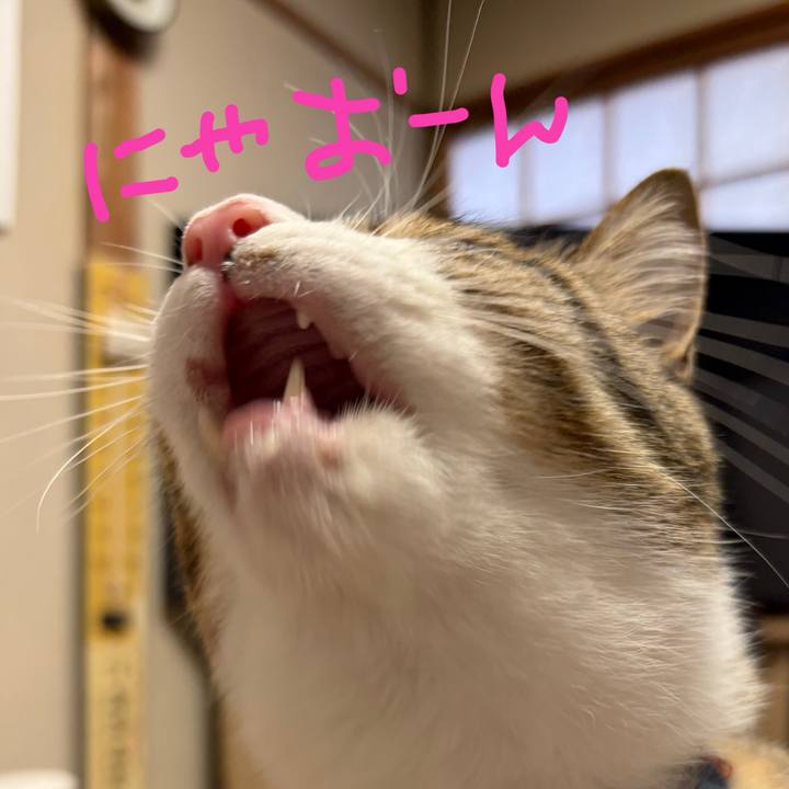 868a1fd9 73c9 4135 b343 e882e3489da8 1773468226592