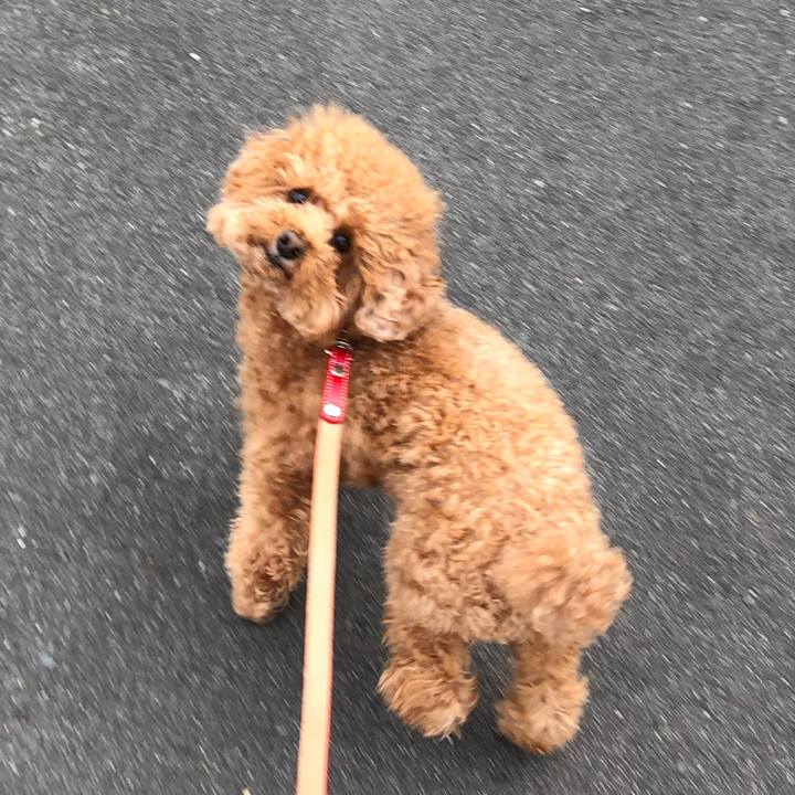 868a21a7 5e88 4e5d b323 99a1890e7a73 1582704497832