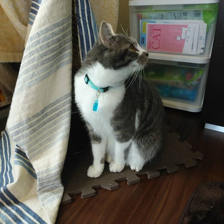 868a25b9 41ce 4362 8539 439b6f1f7a80 1578269626354