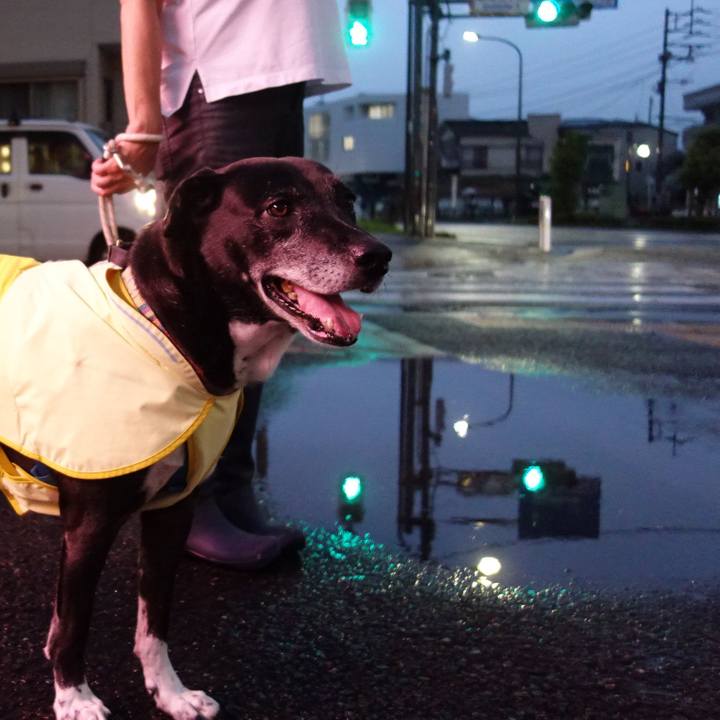 868a26b6 e03b 4efe be50 d66dea203fa6 1752577896245