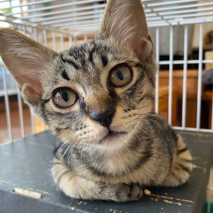 868a36bd 4609 4dba b9f8 ef48df346eb3 1658477807438