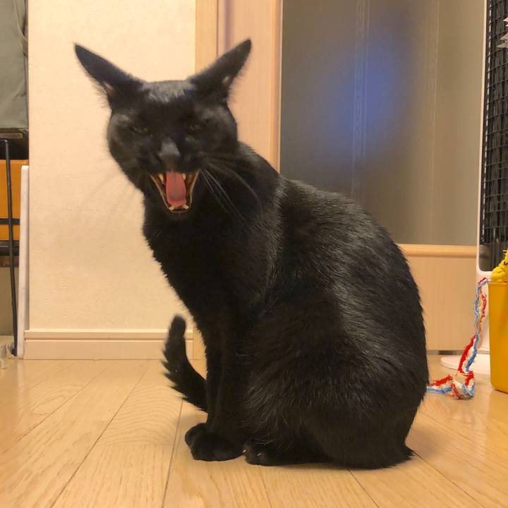 868a4738 4c1c 424b a697 3d136de30e0b 1571405078842