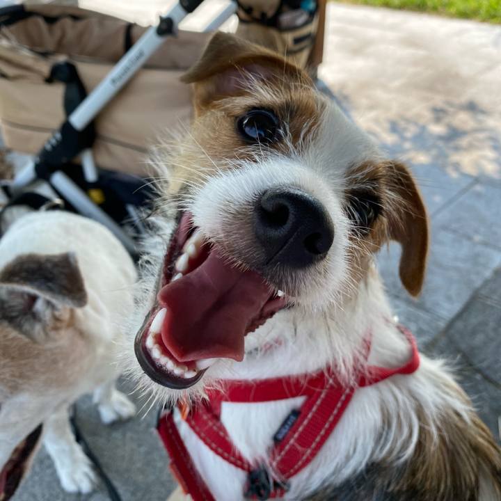 868a8dc8 4ad7 4f29 95c6 6cebb91aab9c 1632386827642