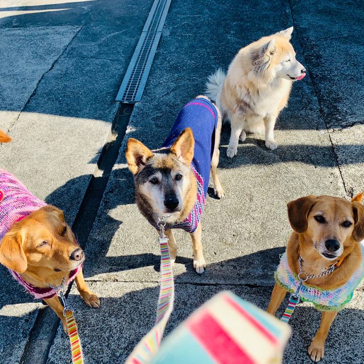 868ab422 ccc6 45a5 a692 fdfdc69683ed 1574301016394