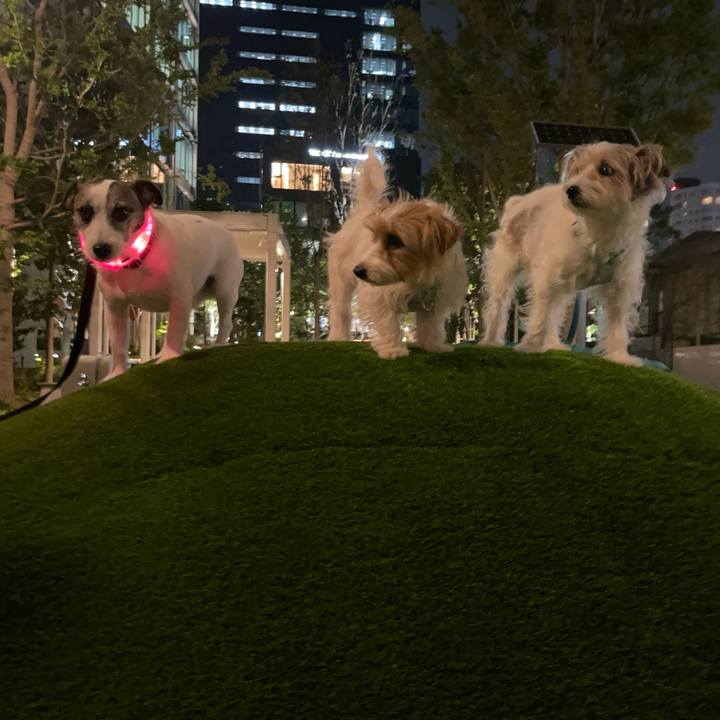 868ac501 0c3a 4857 b8eb d1a773b23f38 1777075146902