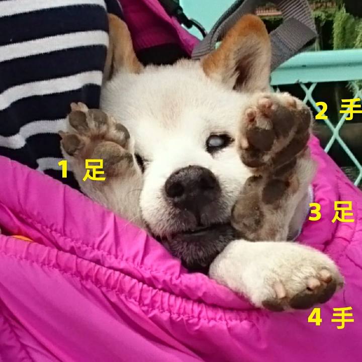 868ad271 f7b3 42db a864 07e81f050526 1525347356128