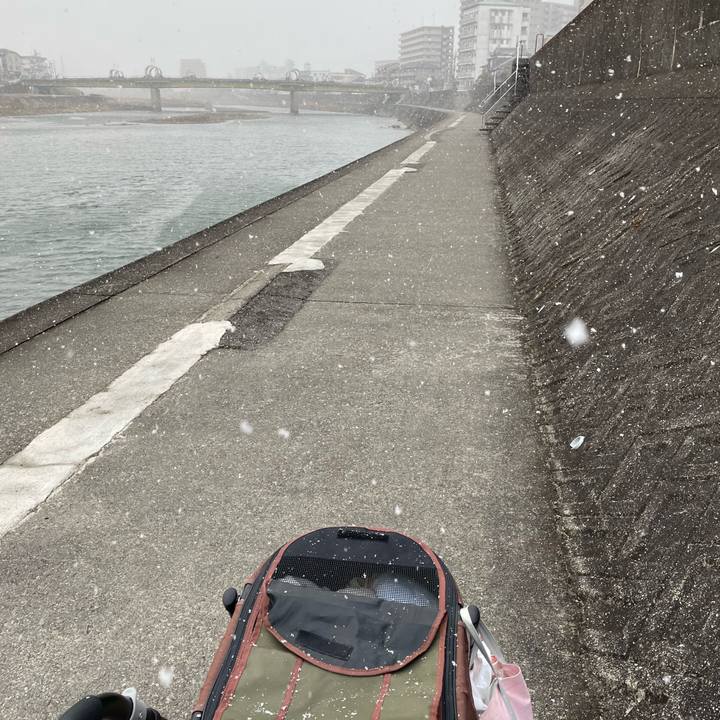 868aec8a 83e2 4d86 9408 f50f8481257e 1674549357333