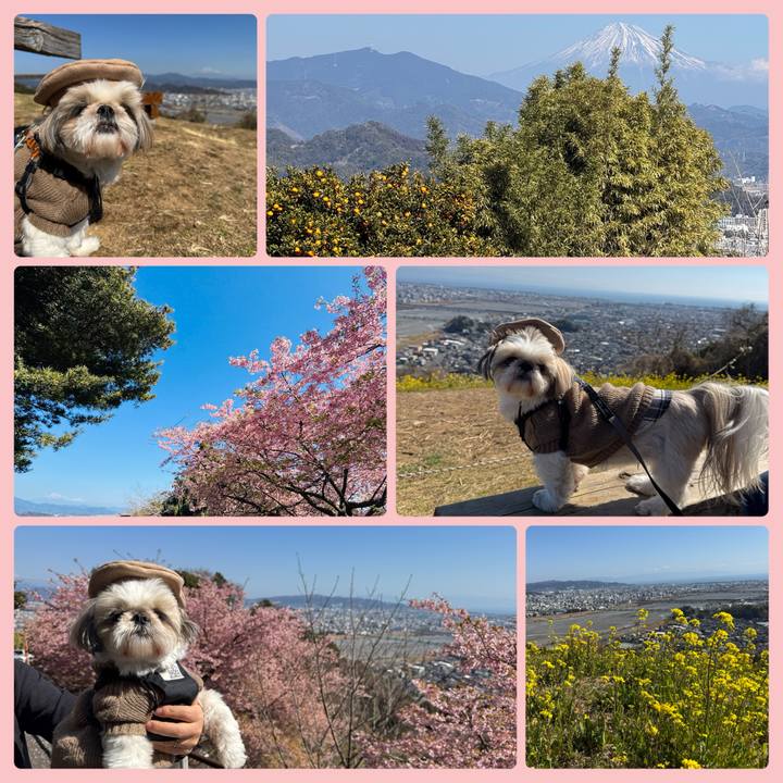 868b2f1f e1ae 4a9d 9188 26c9028ab39d 1771677953729