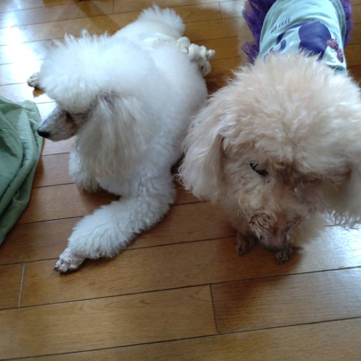 868b3c34 dbff 4bb2 b36b e1f3bbc738ef 1695036087574