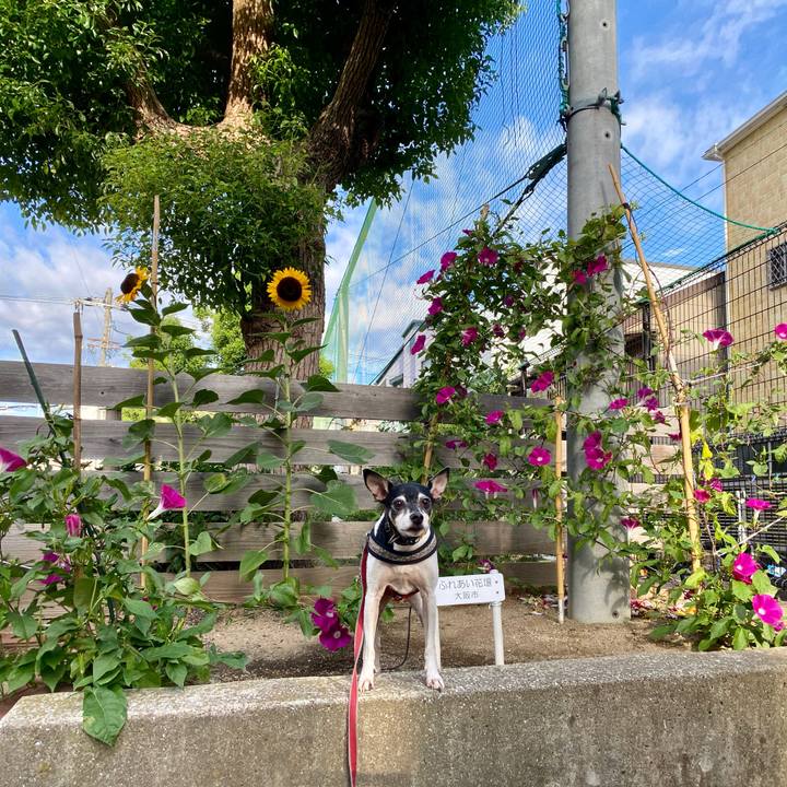 868b52b4 0f49 4de8 b21f 27442887c315 1600479614107