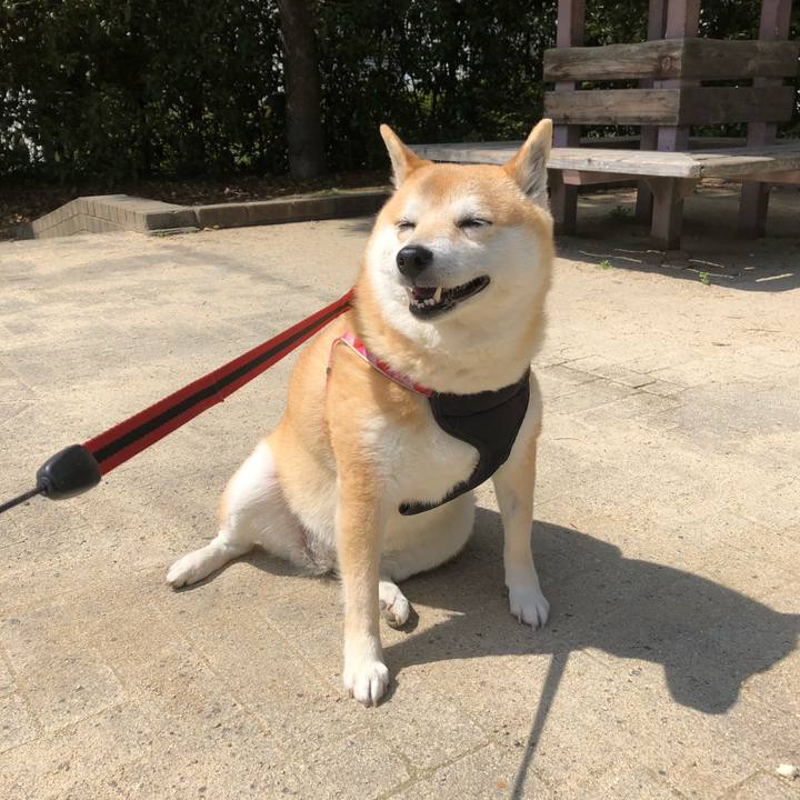 868b6fa1 23b1 4444 86da 48d9d4b02092 1555569729802