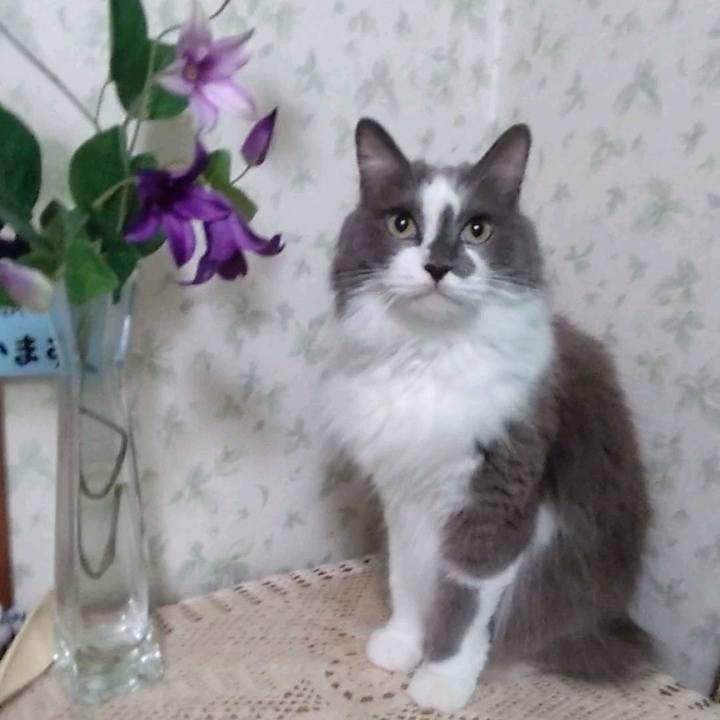 868bd44d 9c40 4ff6 991b db2fb6eef959 1725181580822