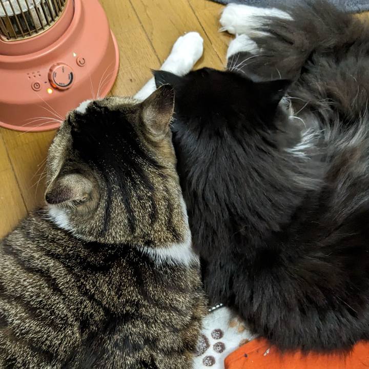 868c2287 678d 4f12 a688 868e4661d1f2 1707218281680