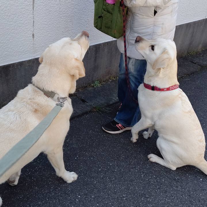 868c2d62 586b 4ff5 807c 95b14f0e847c 1586482669620