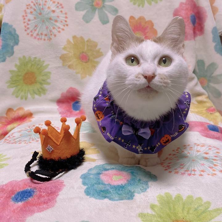 868c7fe7 1c73 4b0d b7f2 4451dc79c9da 1667109680215