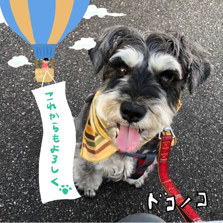 868cbb75 d053 4a3f 962b 847ccb2aa5d3 1686000210582