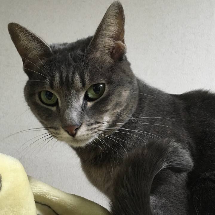 868cc290 d170 43c0 94ff c15b5cd473b9 1573907278461