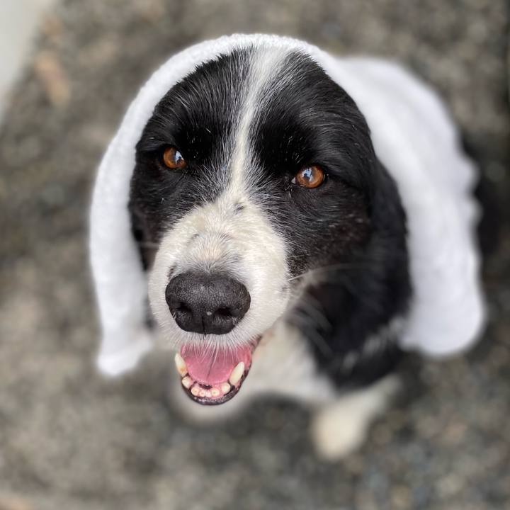 868cded9 f94d 470c 90bc 9eea567c24bf 1618274824026