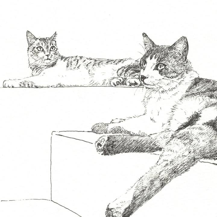 868cecfb 8468 4cba 9014 6ebe7a31d269 1571410634069