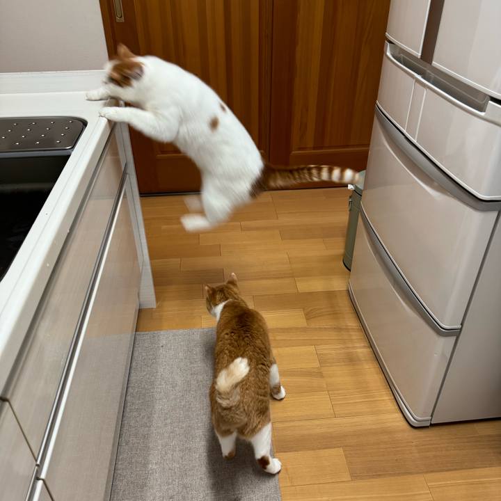 868d2ba4 b143 4a60 88a8 e3eafaa5b0d2 1765408891305