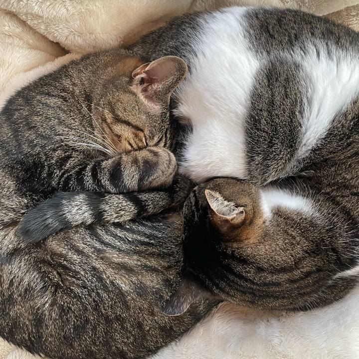 868d31b6 a875 4ecd bce9 729249c8b8b2 1610502976759