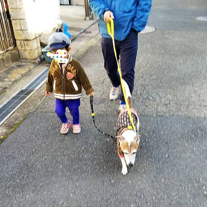 868d64de ce34 4af9 a050 8ae2c57c96d3 1578724204959