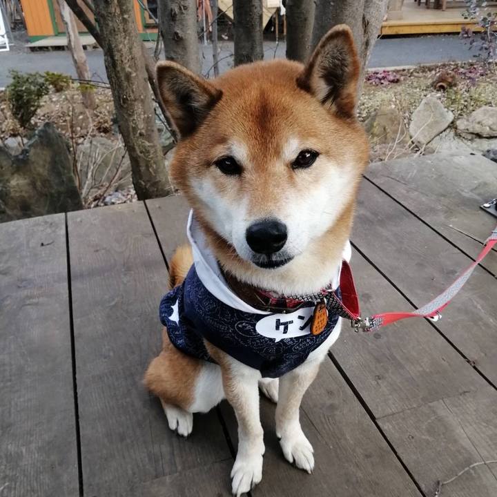 868d6c27 21e0 4e8c b583 1479c754adc8 1643464818349