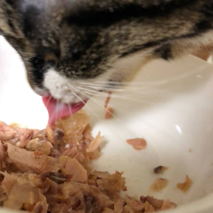 868d7def abe9 4439 b2b9 3dc649cef513 1516868575250