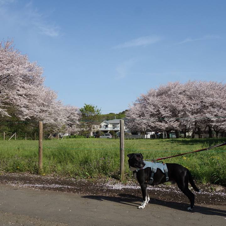 868d9ea0 4913 4253 8ee3 447c08d87dd5 1712796583143