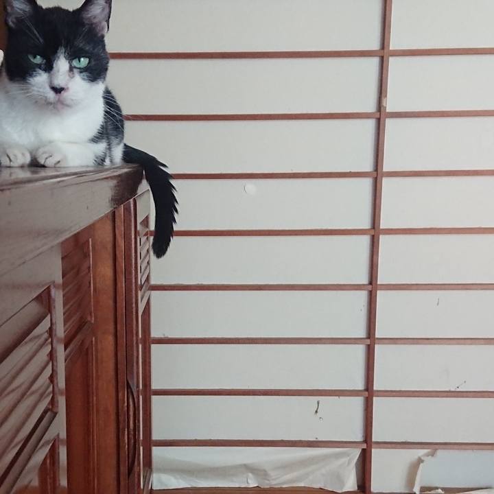 868db586 dda5 4c2f 9818 2eb19cece590 1610984443158