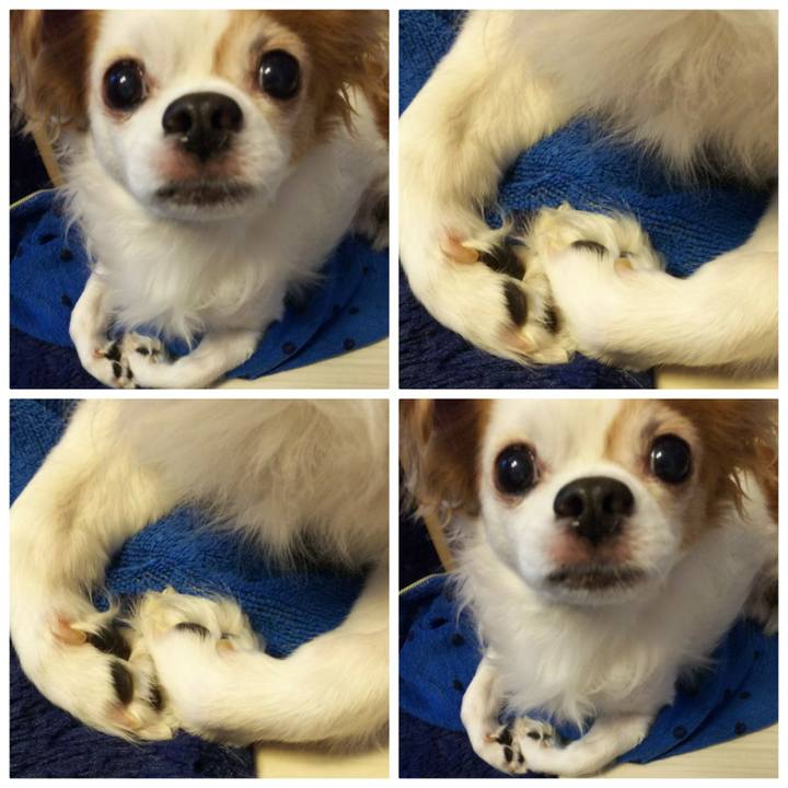 868dcad0 10fb 45bb a342 1c39c70cfc82 1521981967094