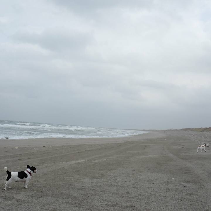 868e2563 e2fe 4c2d aba6 84f25146eb4c 1543464522627