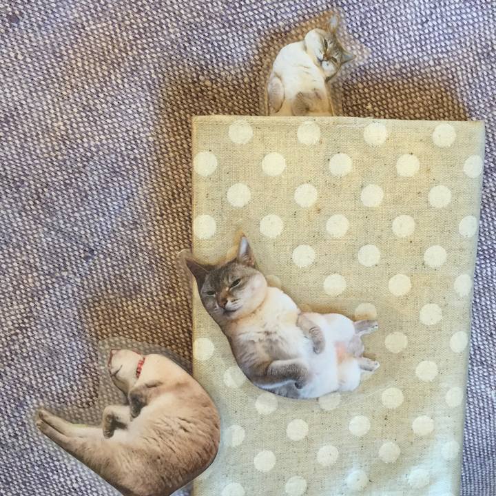 868e3e04 29ae 4d72 869a 31dec6708061 1532500214792