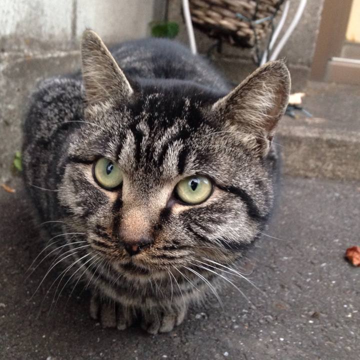 868e76b6 a2b5 49bc 880e c65de6128157 1513181952655