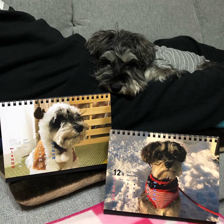 868eb03c 830d 4539 bd97 238bd8a79659 1575288735783