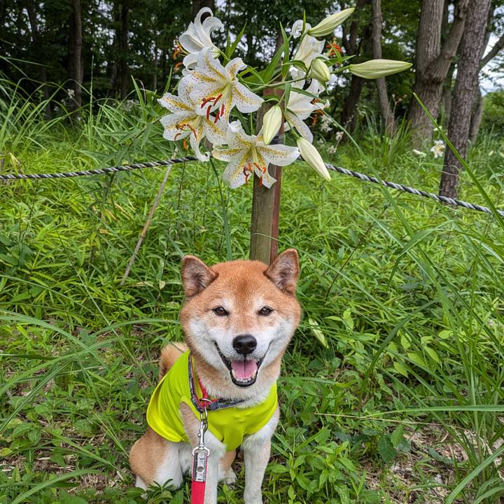 868eed65 c27d 48f1 a3bd c5a4868ac1f6 1721028801041