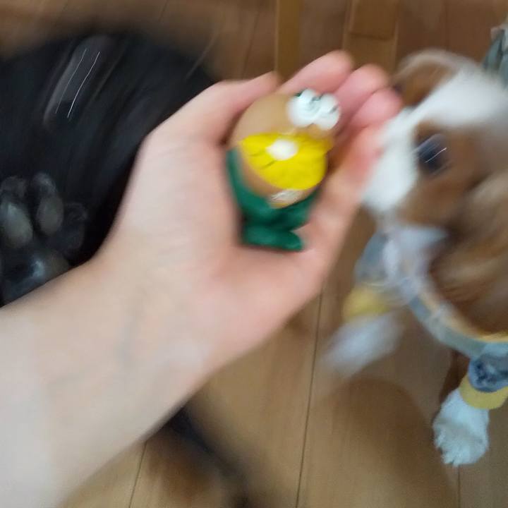 868f0967 f75c 46c7 bf53 56aaad368a3d 1600601633058