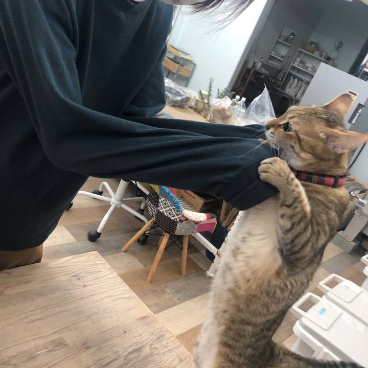 868f380c 73fd 4079 87fb 5f5619b8c88d 1645241267252