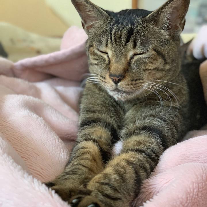 868fb98a cd30 4411 b7da 9d978bfa4b62 1557363251549